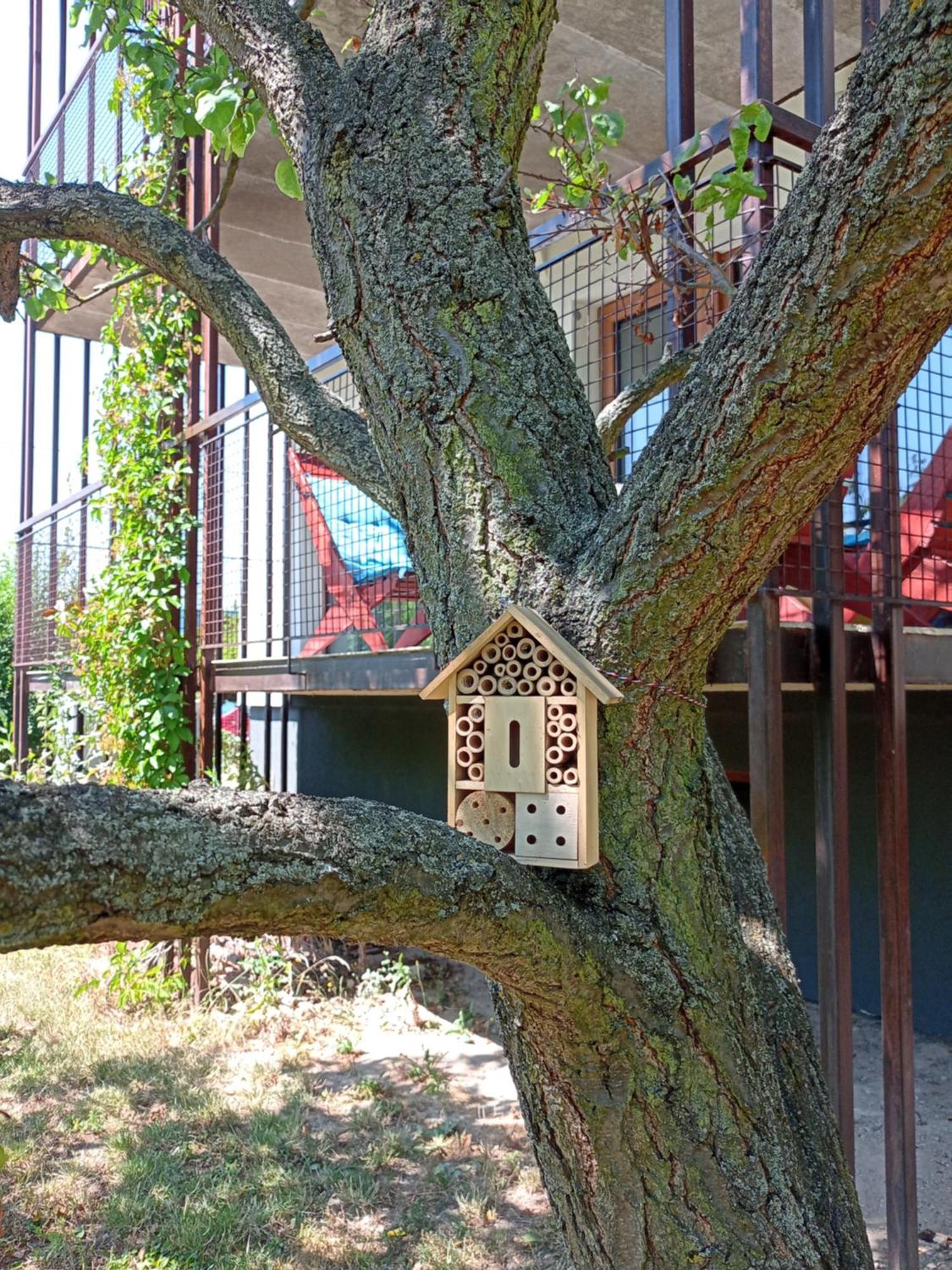 Vila Věkoše - apartmán s terasou a zahradou Hradec Králové Exterior foto